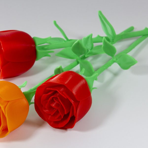 FDM_3d_print_service_microworkshops_multicolour_roses